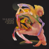 Виниловая пластинка Julia Holter -  Something In The Room She Moves (Limited Red Vinyl 2LP) фото 1