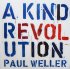 Виниловая пластинка Paul Weller A KIND OF REVOLUTION фото 16