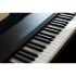 Клавишный инструмент Sai Piano P-9BK фото 3