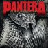 Виниловая пластинка Pantera THE GREAT SOUTHERN OUTTAKES фото 1