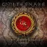 Виниловая пластинка Whitesnake - Greatest Hits: Revisited - Remixed - Remastered - MMXXII (Limited Edition 180 Gram Coloured Vinyl 2LP) фото 1
