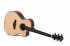 Электроакустическая гитара Sigma GZCE-3 фото 6