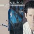 Виниловая пластинка Brian Wilson BRIAN WILSON (180 Gram vinyl record) фото 1