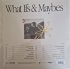 Виниловая пластинка Grennan Tom - What Ifs & Maybes (Black Vinyl LP) фото 2