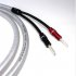 Акустический кабель Chord Company Clearway X Speaker Cable (Banana) 2m, pair фото 3