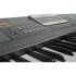 Клавишный инструмент Medeli A100 фото 3
