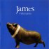 Виниловая пластинка James, Millionaires фото 1