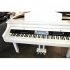 Клавишный инструмент Medeli GRAND500 (GW) фото 2