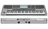 Клавишный инструмент KORG PA900 фото 3