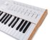 MIDI клавиатура Arturia KeyLAB 61 MK3 White фото 11