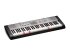 Клавишный инструмент Casio LK-130 (без адаптера) фото 1