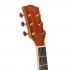 Акустическая гитара Omni D-220 VS фото 4