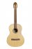 Классическая гитара Bamboo GCI-39 Pro фото 2