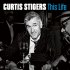 Виниловая пластинка Curtis Stigers - This Life (180 Gram Black Vinyl 2LP) фото 1