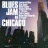 Виниловая пластинка Fleetwood Mac — BLUES JAM IN CHICAGO (2LP) фото 1