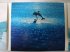 Виниловая пластинка Eric Serra - Le Grand Bleu (OST) (Box(+2CD+DVD)) фото 14