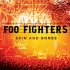 Виниловая пластинка Foo Fighters SKIN AND BONES (180 Gram) фото 1