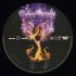 Виниловая пластинка Deep Purple — PHOENIX RISING (2LP) фото 12