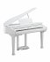 Цифровой рояль Kurzweil KAG100 WHP фото 1