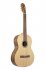 Классическая гитара Bamboo GCI-39 Pro фото 1