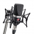 Студийный микрофон NEUMANN TLM 102 BK STUDIO SET фото 1
