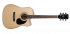 Электроакустическая гитара Cort AD880CE-NAT фото 4