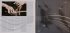 Виниловая пластинка SONYC Yo-Yo Ma Six Evolutions - Bach: Cello Suites (180 Gram Black Vinyl/Trifold) фото 6