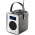 Радиоприемник Vita Audio Carry-Case for R1 black фото 1