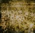 Виниловая пластинка Linkin Park ROAD TO REVOLUTION LIVE AT MILTON KEYNES (RSD 2016/2LP+DVD/Red & black splatter vinyl/numbered) фото 10