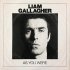 Виниловая пластинка Liam Gallagher AS YOU WERE фото 1