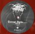 Виниловая пластинка Darkthrone - Eternal Hails (Coloured Vinyl LP) фото 4