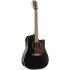 Электроакустическая гитара Norman 028054 Protege B18 CW Cedar Black фото 1