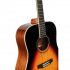 Акустическая гитара Omni D-220 VS фото 3
