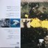 Виниловая пластинка Brian Eno - Film Music 1976 - 2020 фото 3