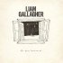 Виниловая пластинка Liam Gallagher - All Youre Dreaming Of… (Limited Black Vinyl/1 Track) фото 1