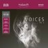 In-Akustik LP Great Voices Vol. II #01675021 фото 1