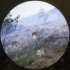 Виниловая пластинка Apocalyptica — APOCALYPTICA (2LP+CD) фото 12