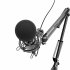 Микрофон Ritmix RDM-180 Black фото 4