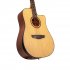 Акустическая гитара Omni D-560 фото 3