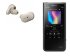 Комплект персонального аудио Sony Walkman NW-ZX507 black + WF-1000XM3 silver фото 1