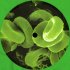 Виниловая пластинка WM TYPE ONEGATIVE, WORLD COMING DOWN (Limited 180 Gram Green&Black Mixed Vinyl/Gatefold/Poster) фото 14
