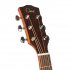 Акустическая гитара Omni D-260S фото 4