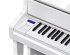 Цифровое пианино Casio Celviano GP-310WE фото 9