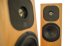Напольная акустика NEAT acoustics Motive SE2 american walnut фото 5