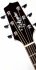 Электроакустическая гитара Takamine LEGACY EF341SC фото 2