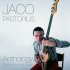 Виниловая пластинка Jaco Pastorius  THE WARNER BROS. YEARS VBO (180 Gram) фото 1