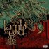 Виниловая пластинка Lamb Of God - Ashes Of The Wake (Black Vinyl 2LP) фото 1