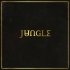 Виниловая пластинка Jungle - Jungle (Black Vinyl LP) фото 1