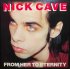 Виниловая пластинка Nick Cave - From Her To Eternity (Black Vinyl LP) фото 1