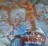 Виниловая пластинка Pantera FAR BEYOND DRIVEN (20TH ANNIVERSARY EDITION) фото 7